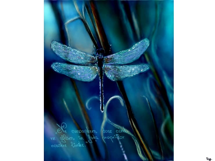 dragonfly...