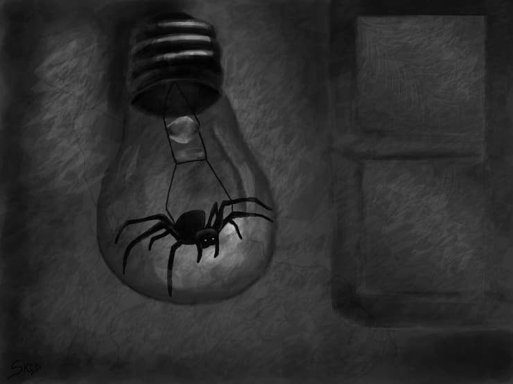 Spider