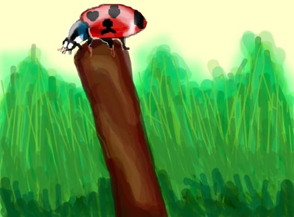 Buburuza