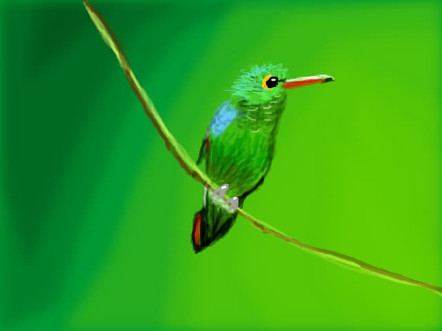 colibri