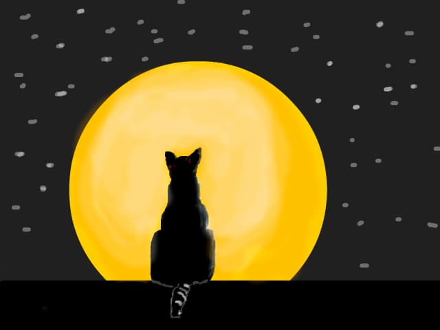Pisica la luna