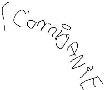 Camioanie