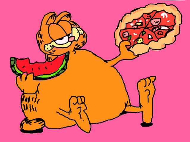 Garfield se ingrasa