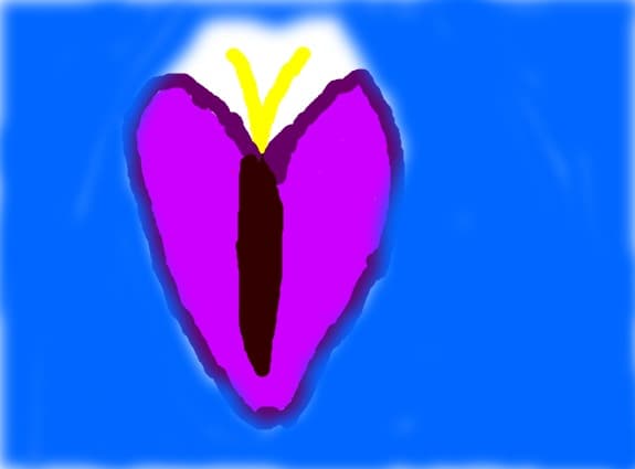 Cerculete