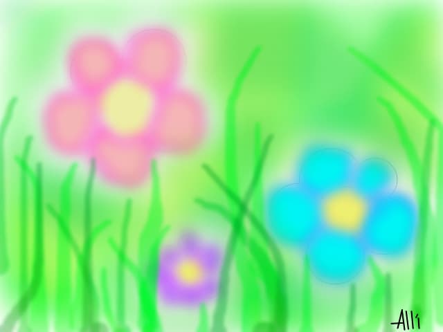 Flori