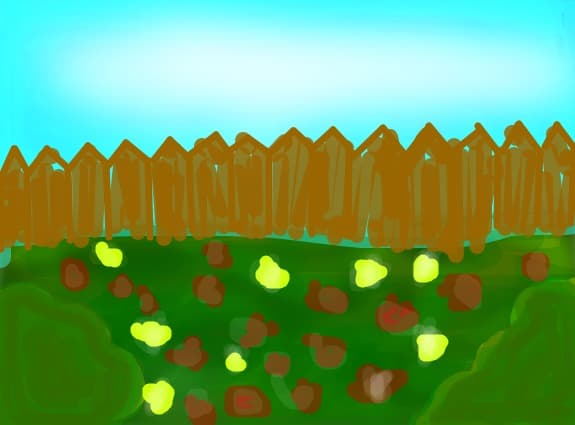 the beautifull garden