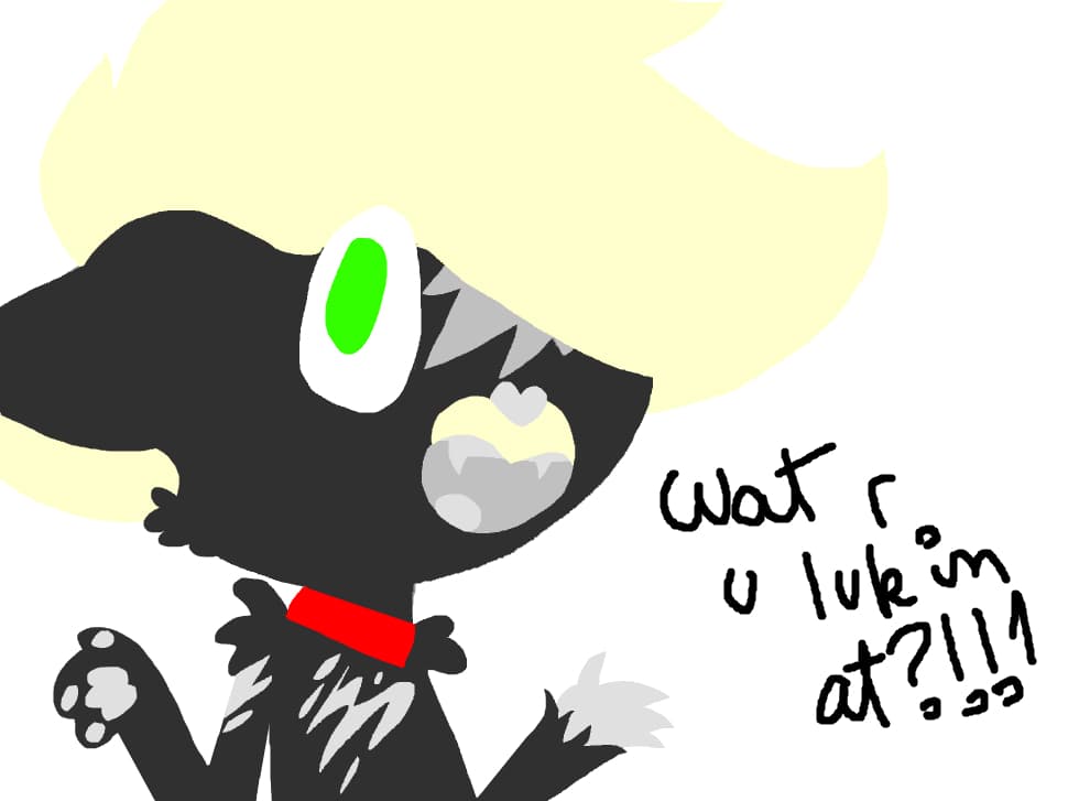 Wat r u lookin at?!!1