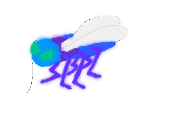 Mosquito
