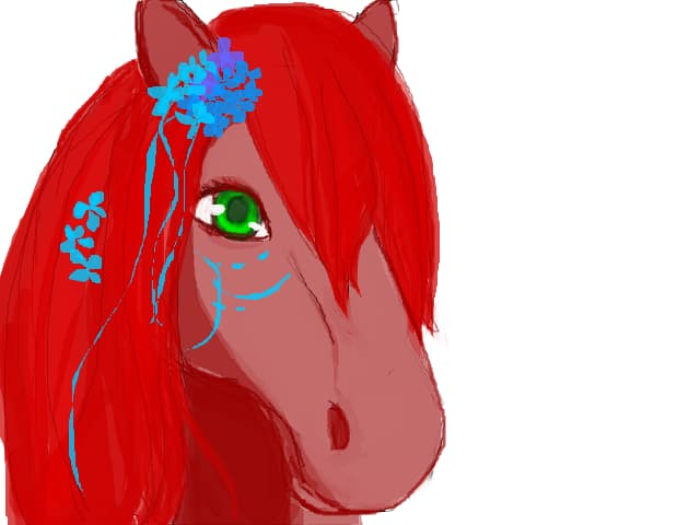 pony