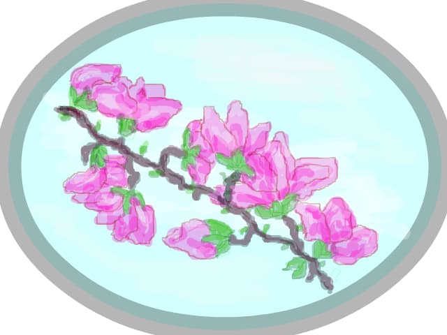 Magnolia
