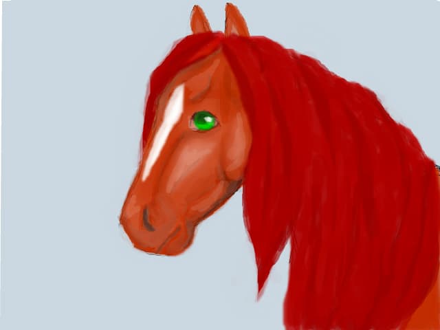horse
