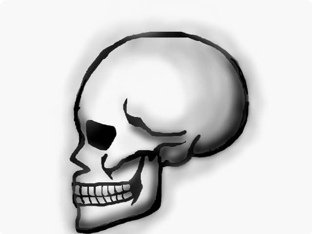 Skull