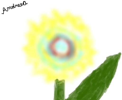 o floare
