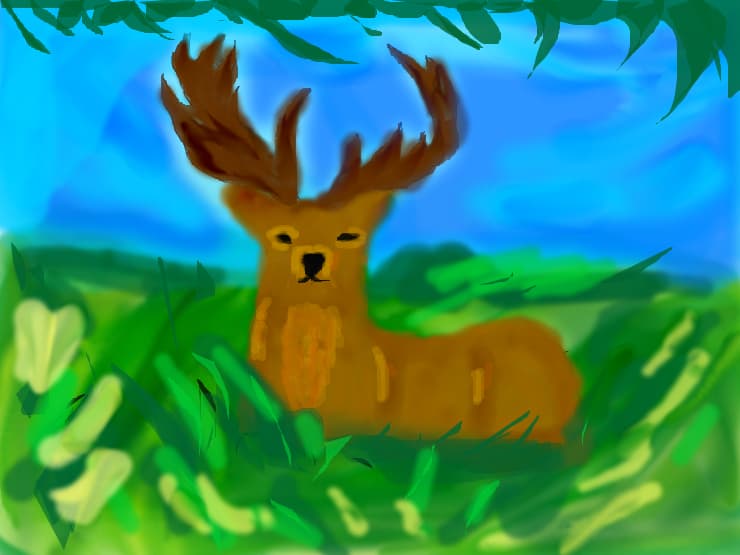 cerb