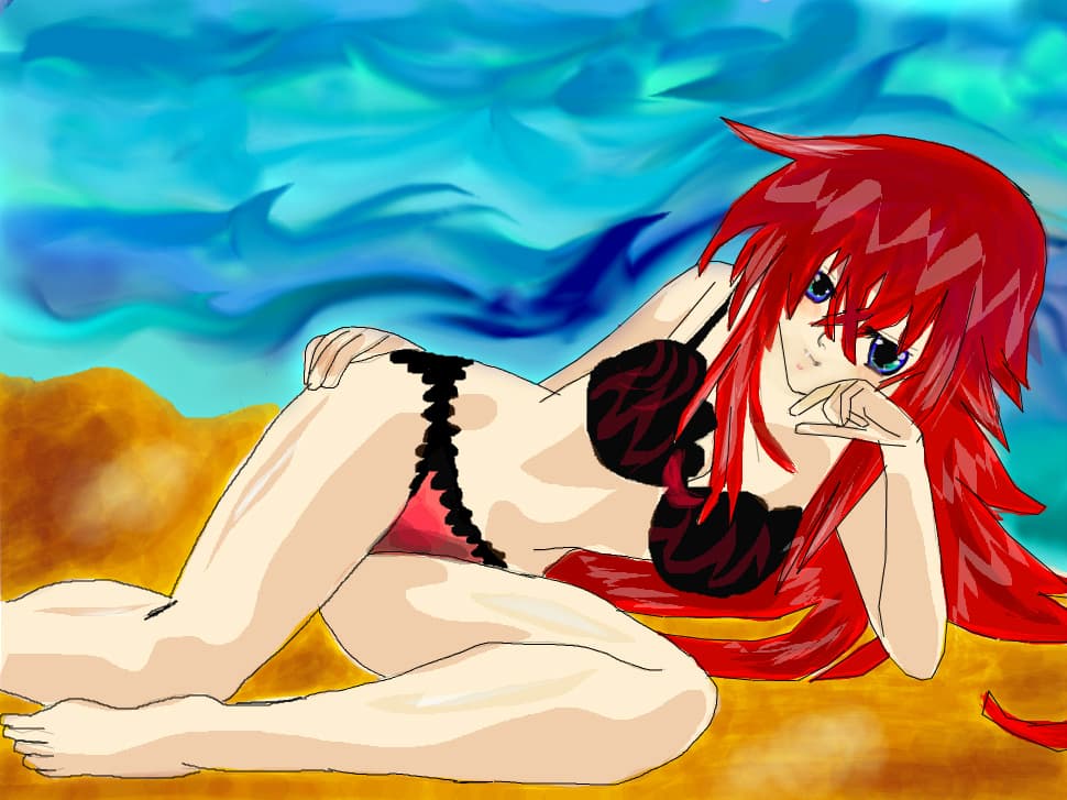 Rias Gremory; HighSchool dxd