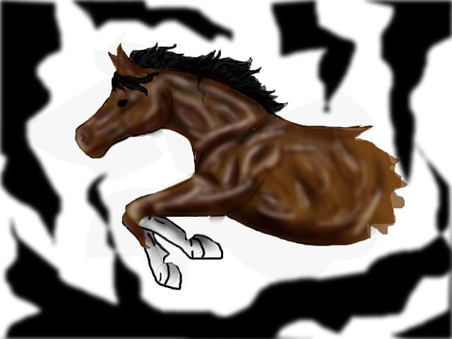 horse