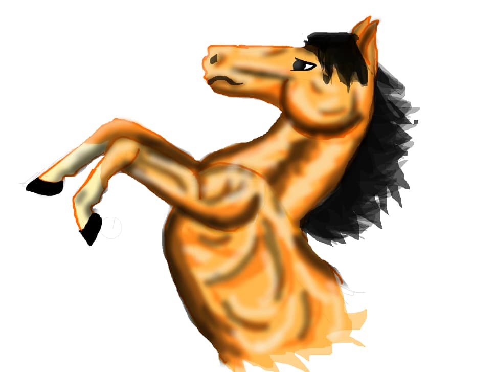 horse