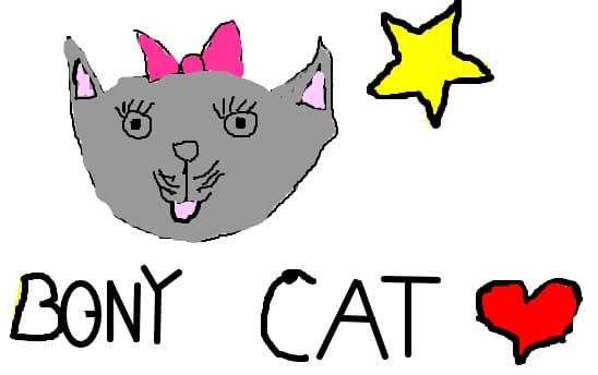 Bony Cat