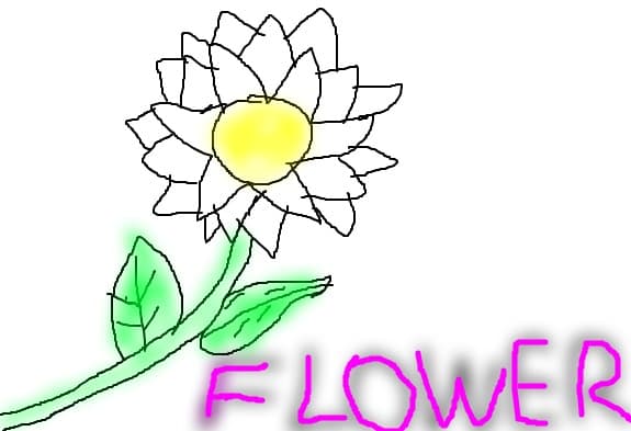 Flower