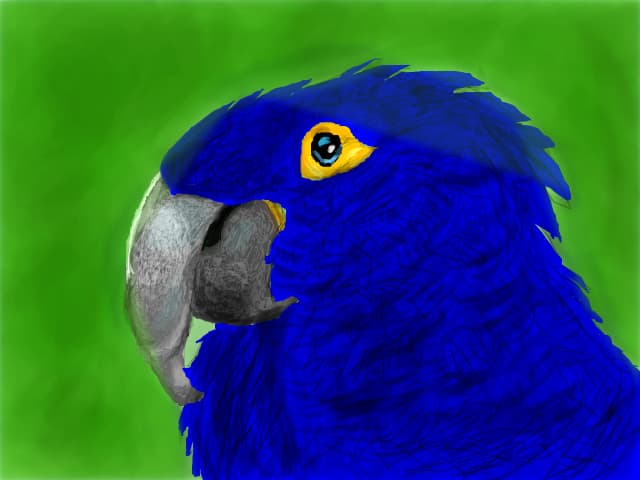Parrot 20 august 2015