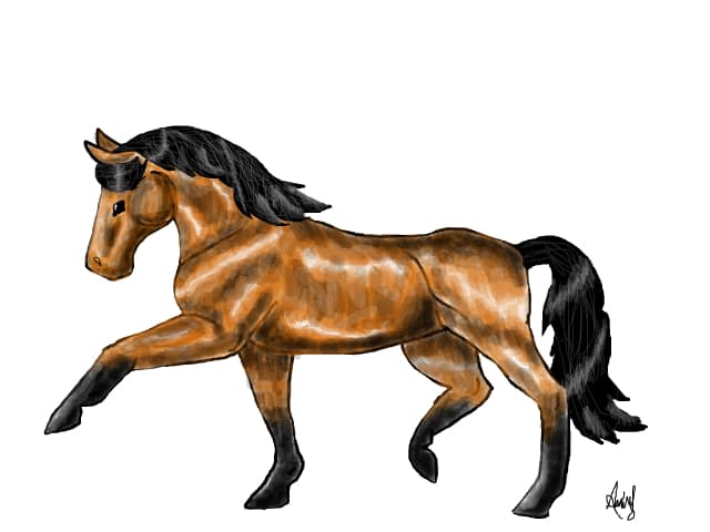 horse