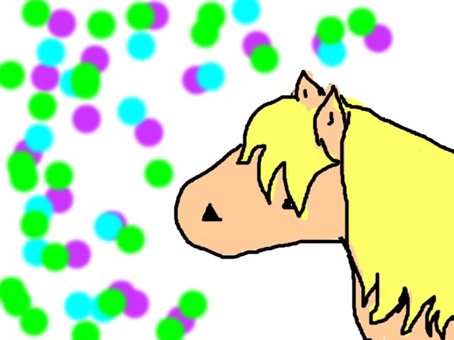horse