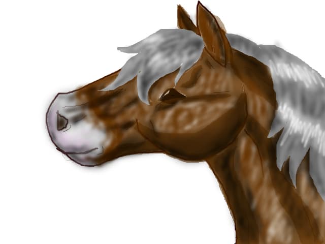 horse