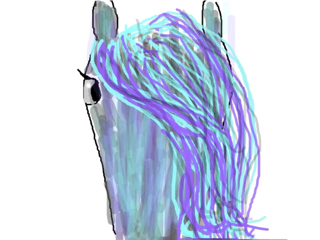 horse