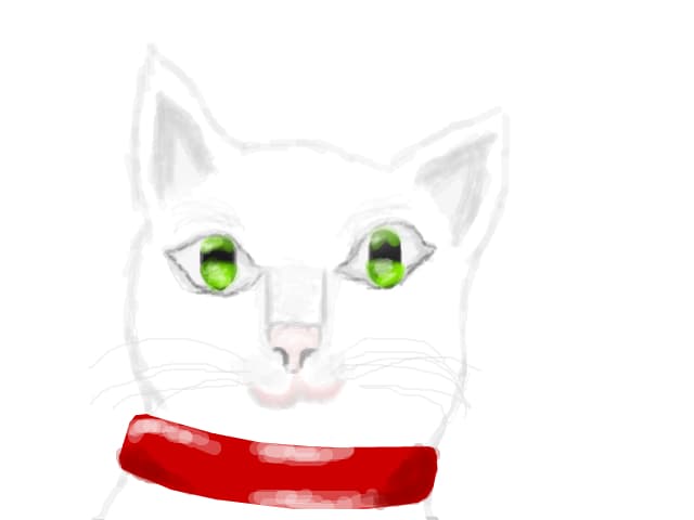 Kitty