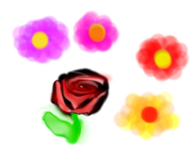 flori