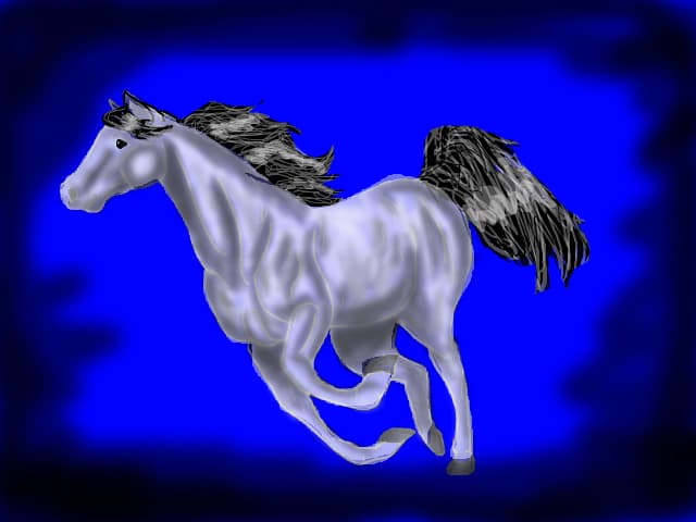 horse