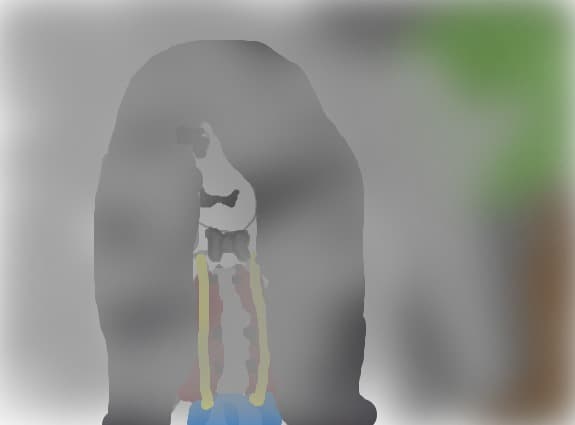 marceline