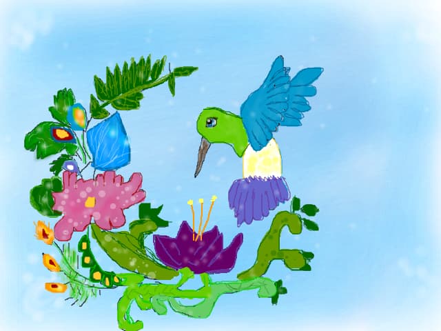 O pasare colibri in natura la ea acasa