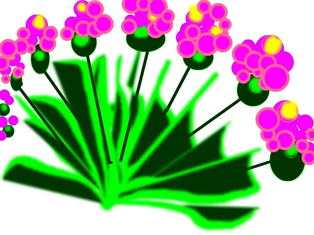 vio8