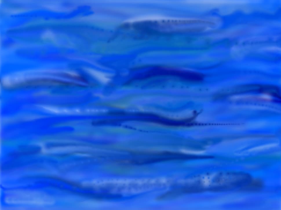 marea