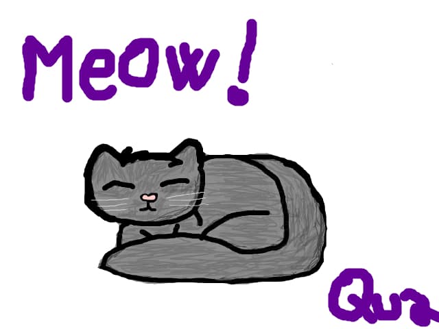 Soft Kitty