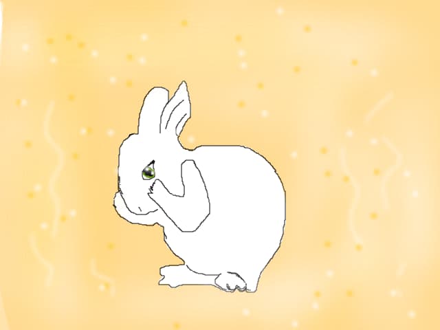 iepuras :D