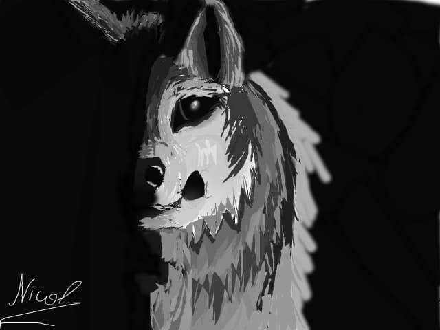 wolf