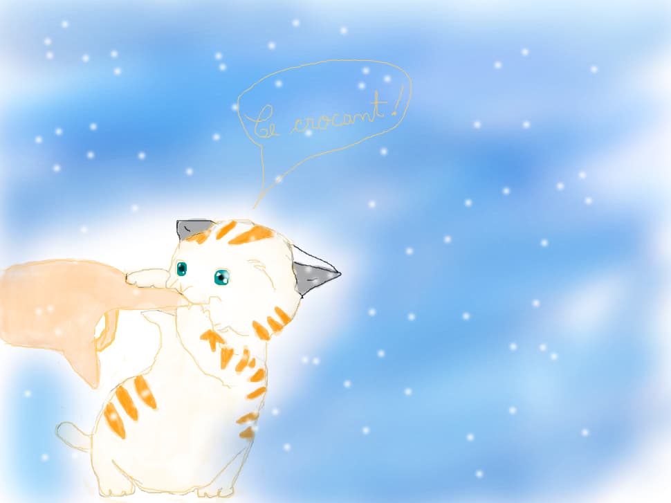 pisica :>