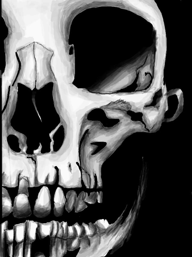 Skull