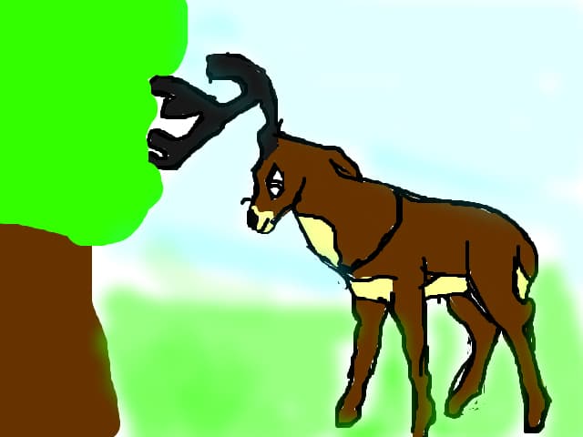 bambi tata