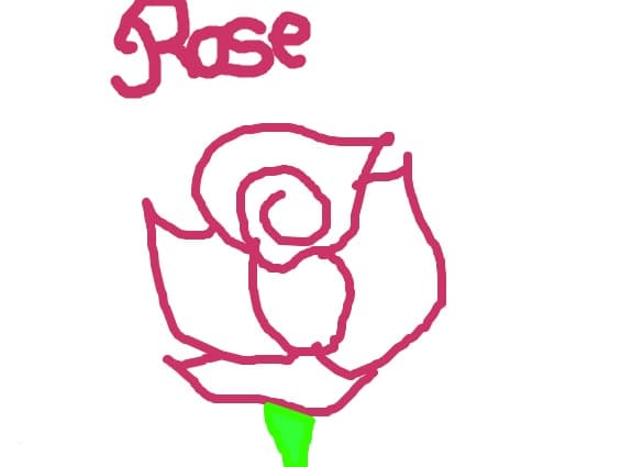 rose
