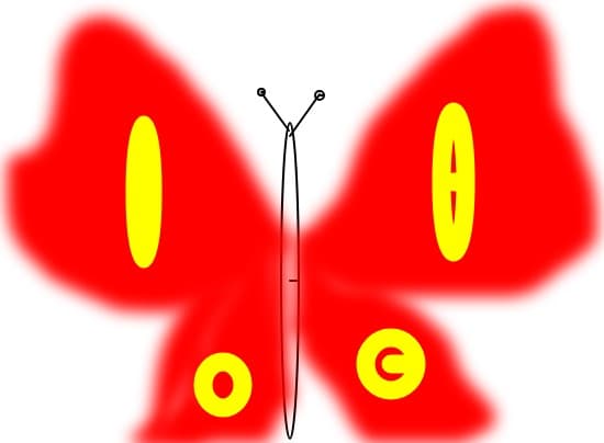 Fluture