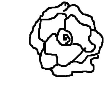 trandafir