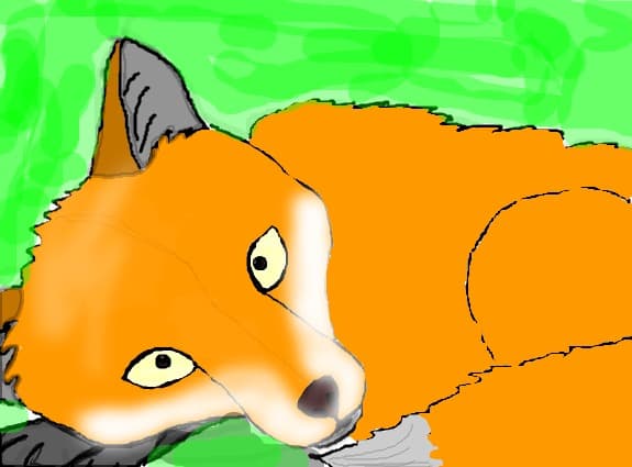 Vulpe