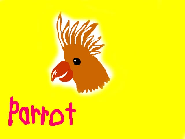 Parrot