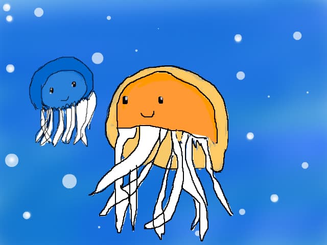 meduze
