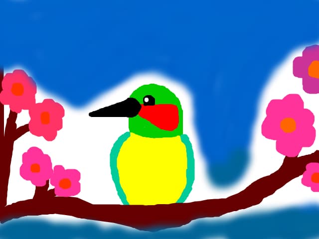 Cute Bird