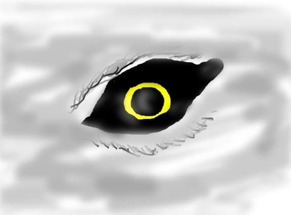 ochi de lup