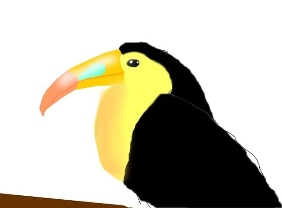 tucan
